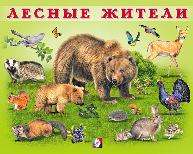 дикие животные - окружающий мир природа России детям, подготовка к школе